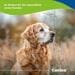 Canina V25 Vitamintabletten