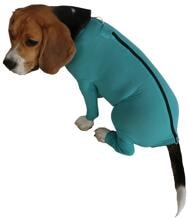 VetMedCare Dog Body | 4 Beine | unisex mit Reißverschluss | grün