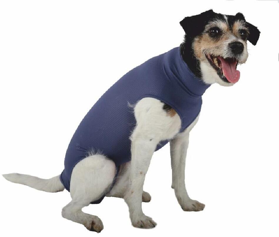 VetMedCare DOG BODY ohne Beine | Blau | für Hündinnen und Rüden | M | Rüde