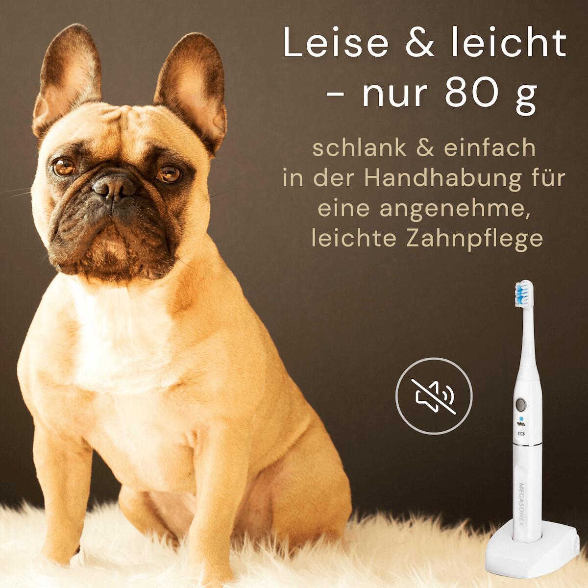 katzenstreu aus mais Maisstreu 15 kg (5 Scke je 3 kg), 40 L Mais-Katzenstreu  natrlich &