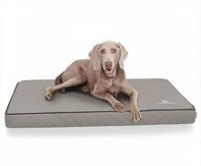 Knuffelwuff Juna orthopädische Hundematte, 136x84cm, grau