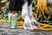leovet Teebaum Body Wash, 500ml