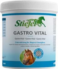 Stiefel Gastro Vital Ergänzungsmittel, 1kg