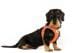 curli Clasp Air-Mesh Hundegeschirr