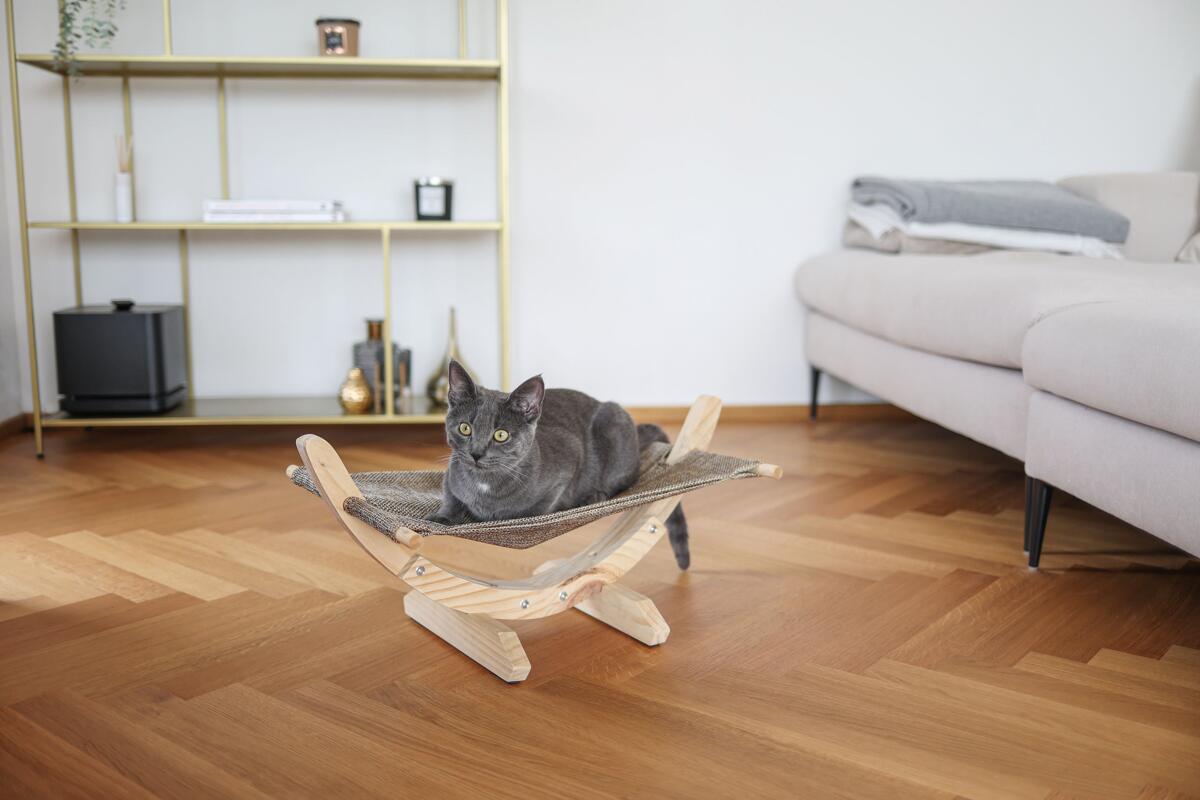 sonnensegel 3 x 5 grau m Wetterbeständig atmungsaktiv Sonnensegel Balkon Regenschutz mit Ösen und Kabelbinder für Garten Outdoor, heavy duty air mattress color:Fatboy Grey Taupe Mit Büchern die Welt