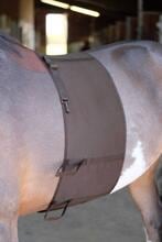 NORTON Sporenschutz, braun, L
