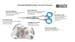 EHASO Revolution Pawmaster PRISMA modelling scissors