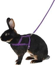KERBL Pet Agility imbracatura a spalla con guinzaglio