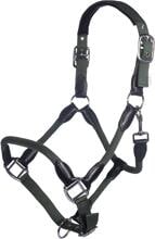 HKM Carlotta cavezza, cachi, warmblood