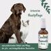 cdVet VeaVet Probiotic-Spray