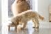 Designed by Lotte Djeha Futternapf Set