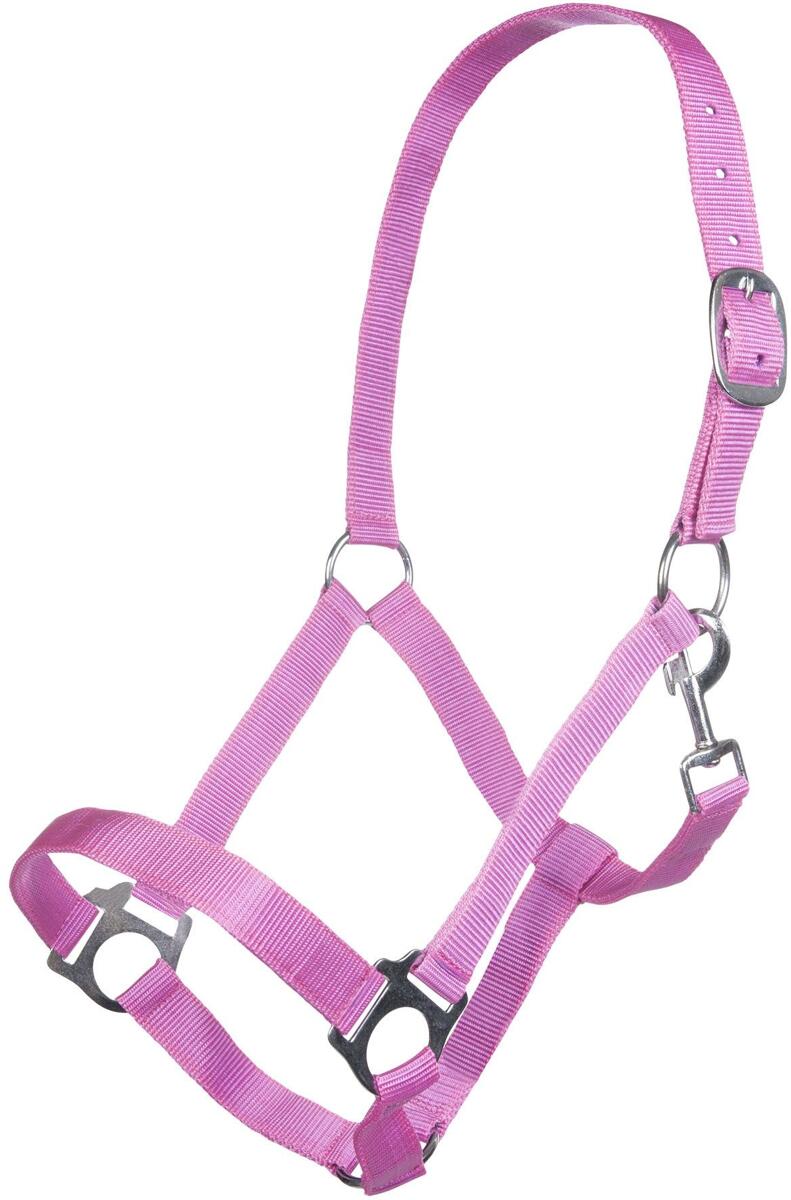 HKM Innsbruck Halfter, pink, Shetty