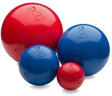 Boomer ball dog toy