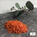 Paws & Patch carrot flakes