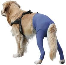 VetMedCare SAFETY PANTS | für Hündinnen und Rüden