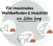 GRAU Hokamix Mobility Booster Tabs