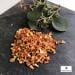Fiocchi di zucca Paws & Patch