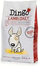 Dingo Lamb & Daily